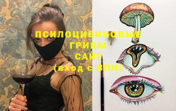 молекула духа Алзамай