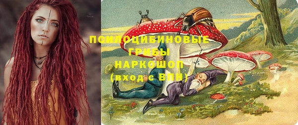 a pvp Алексин