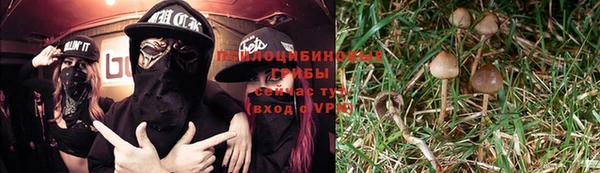 apvp Алексеевка