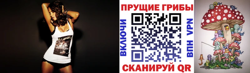 Псилоцибиновые грибы мицелий  Томск 