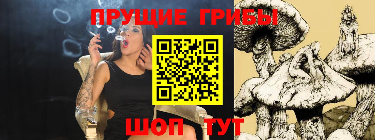 Псилоцибиновые грибы Cubensis  Вход с VPN  Томск 